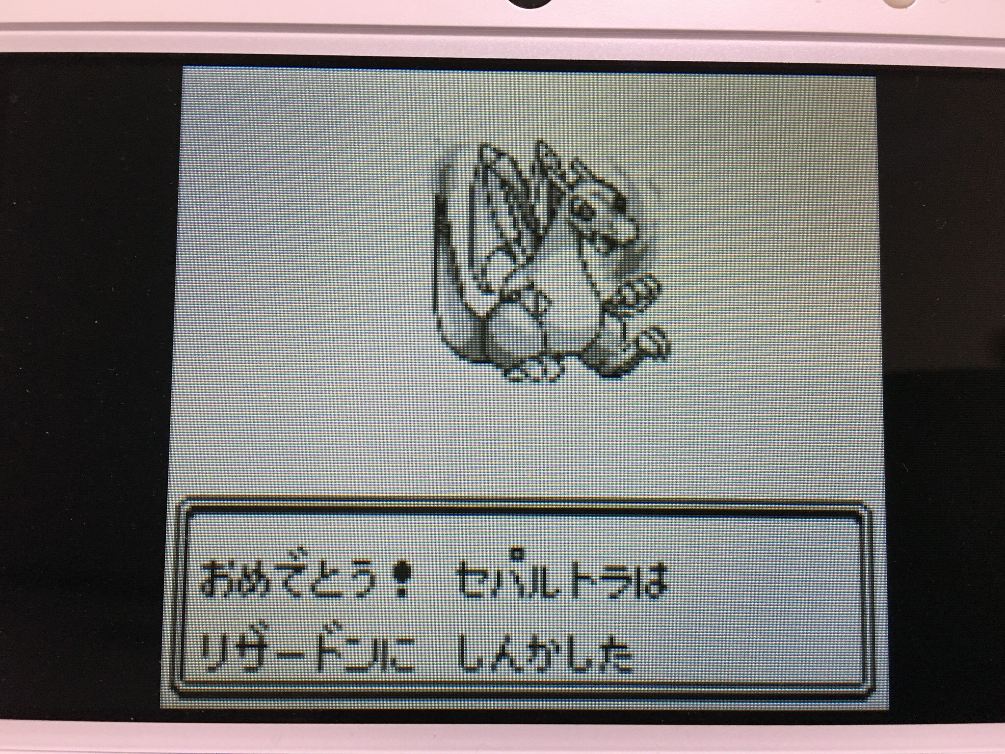 連載 ポケモン赤 ロケット団アジト 趣味的レベリング