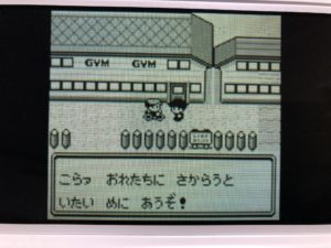 ポケモン赤 ヤマブキシティ 連載 趣味的レベリング